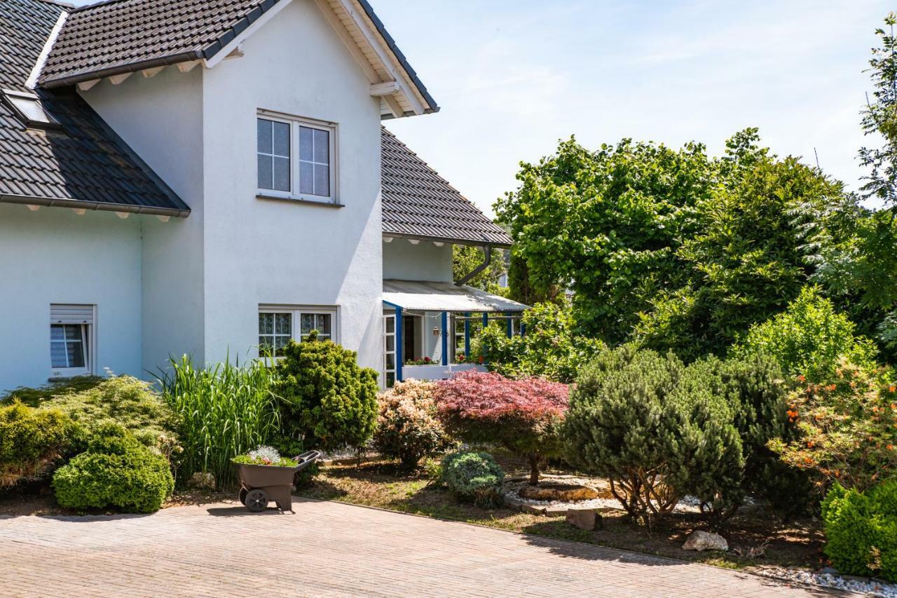 Das blaue Haus Daufenbach Exterior foto